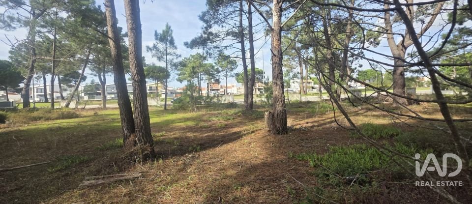 Terreno urbano em Sesimbra (Castelo) de 255 m²