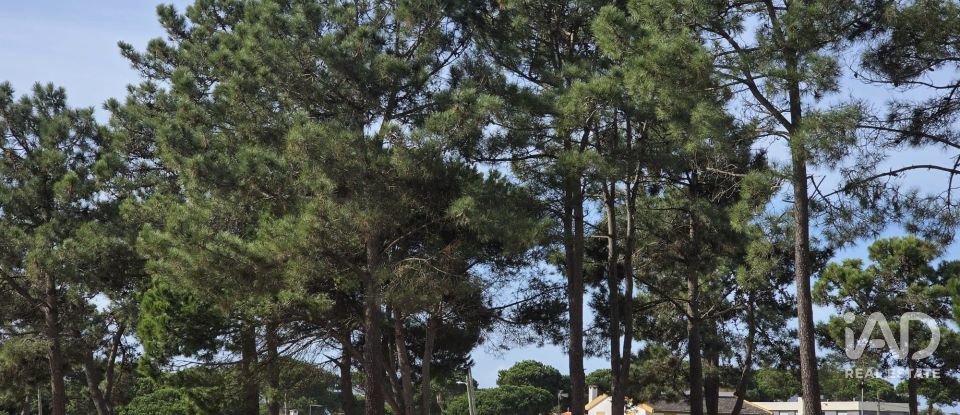 Terreno urbano em Sesimbra (Castelo) de 255 m²