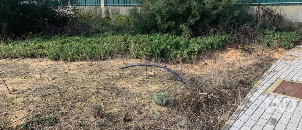 Terreno urbano em Quinta do Anjo de 530 m²