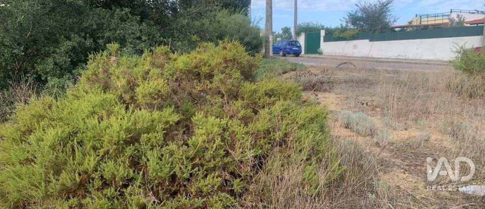 Terreno urbano em Quinta do Anjo de 530 m²