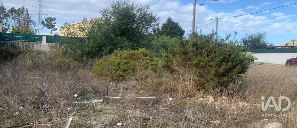 Terreno urbano em Quinta do Anjo de 530 m²