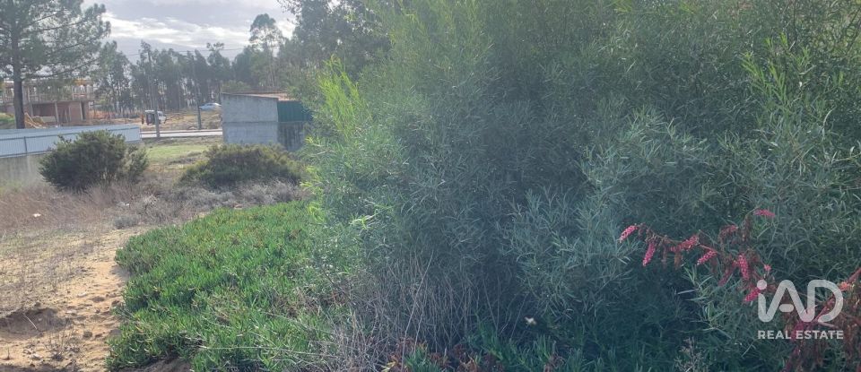 Terreno urbano em Quinta do Anjo de 530 m²