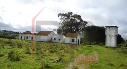 Industrial land in Quinta do Anjo of 10,875 m²