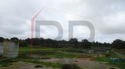 Terrain industriel à Quinta do Anjo de 10 875 m²