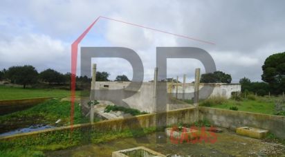 Terrain industriel à Quinta do Anjo de 10 875 m²