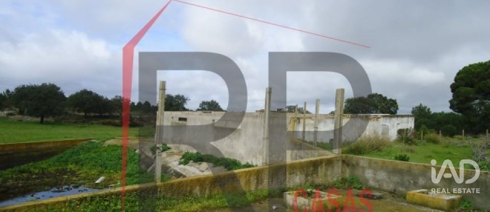 Terreno industrial em Quinta do Anjo de 10 875 m²