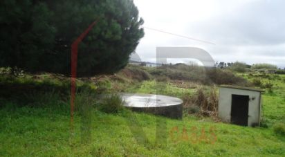 Terrain industriel à Quinta do Anjo de 10 875 m²