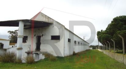 Terrain industriel à Quinta do Anjo de 10 875 m²