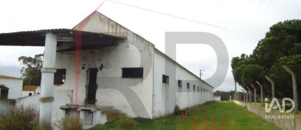 Terreno industrial em Quinta do Anjo de 10 875 m²