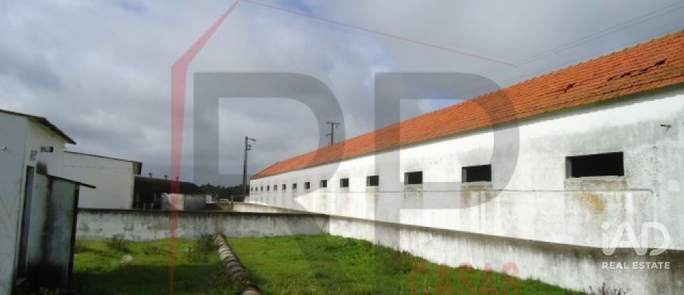 Terreno industrial em Quinta do Anjo de 10 875 m²