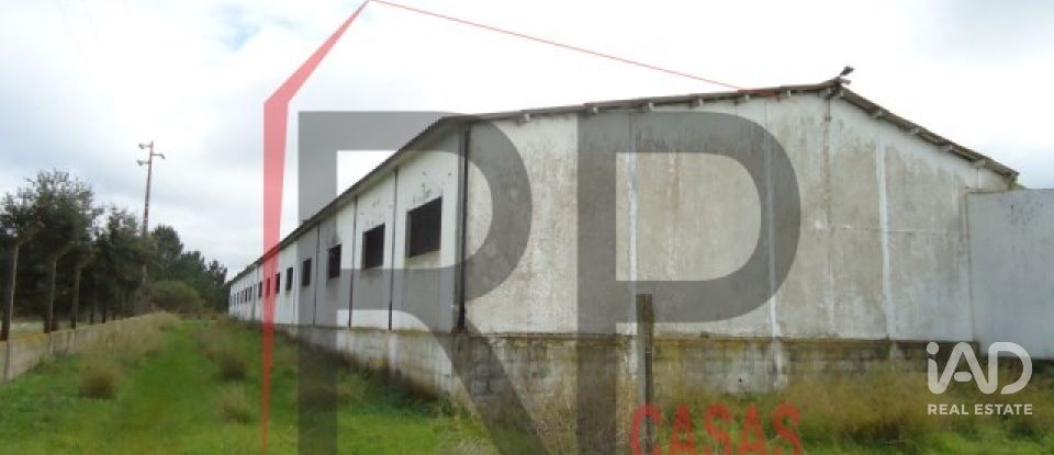 Terreno industrial em Quinta do Anjo de 10 875 m²