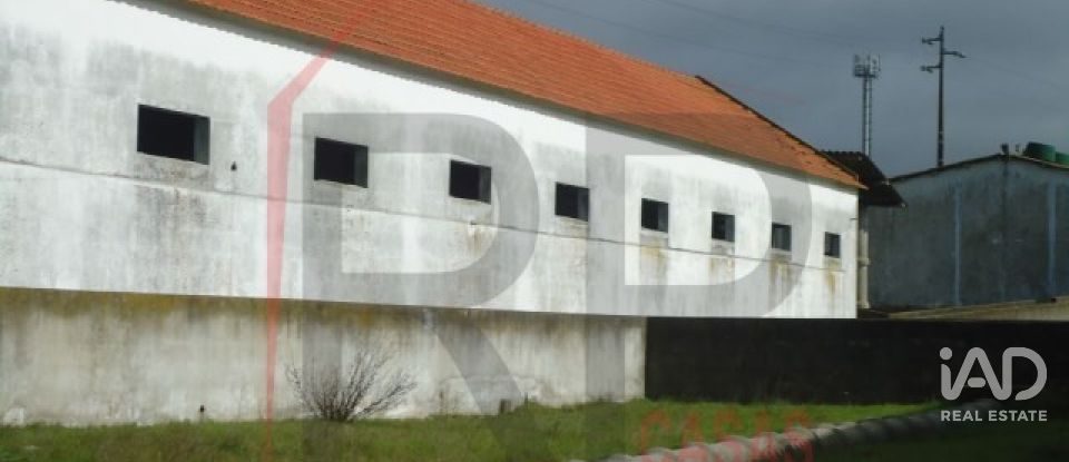 Terreno industrial em Quinta do Anjo de 10 875 m²