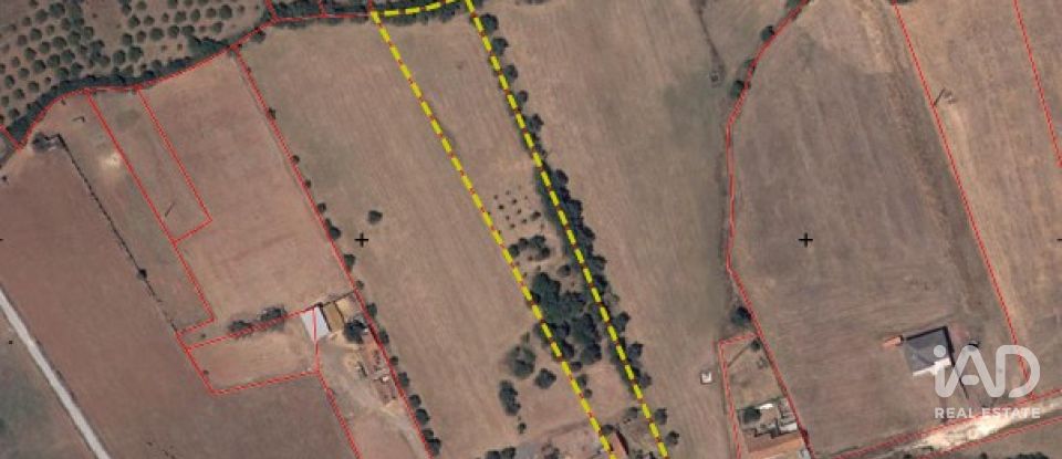 Maison T3 à São Bartolomeu de Messines de 221 m²