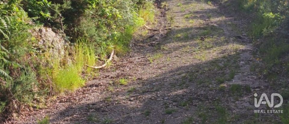 Terreno em Foz do Sousa e Covelo de 3 200 m²