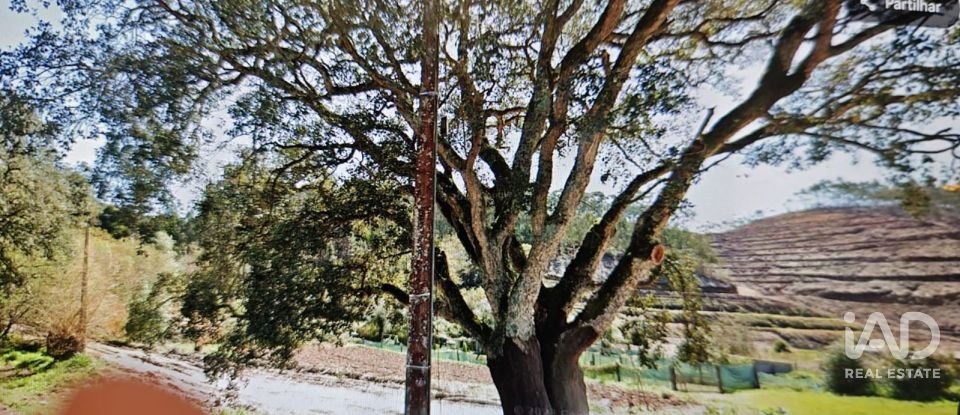 Terreno em Foz do Sousa e Covelo de 3 200 m²