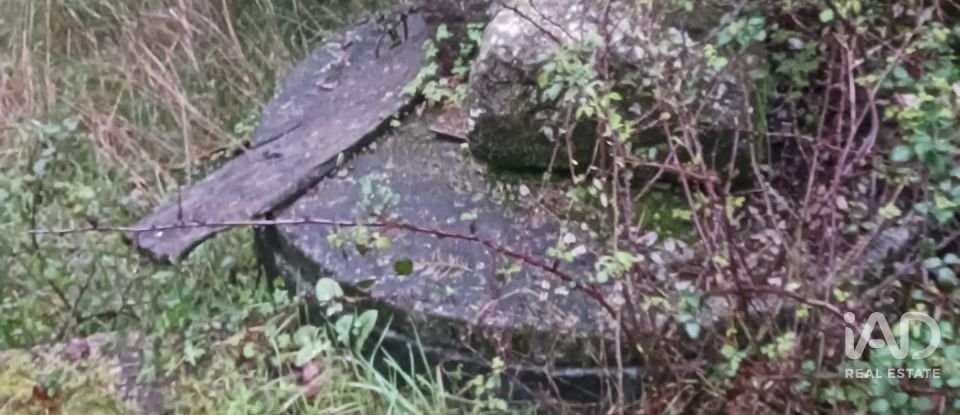 Terreno em Foz do Sousa e Covelo de 3 200 m²