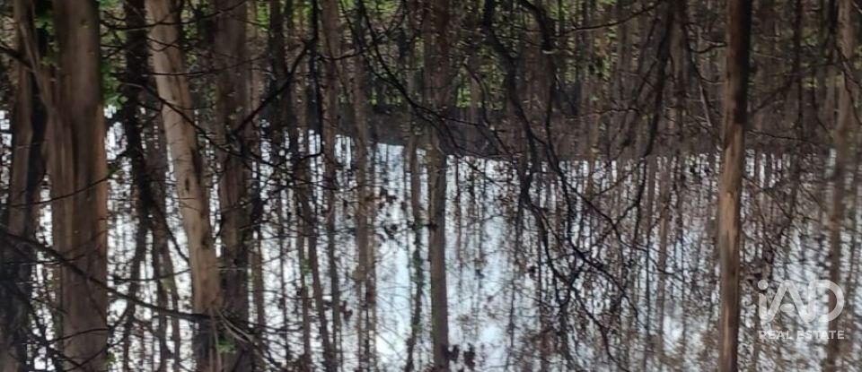 Terreno em Foz do Sousa e Covelo de 3 200 m²