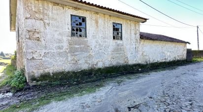 Ferme T0 à Vila Cova E Feitos de 210 m²