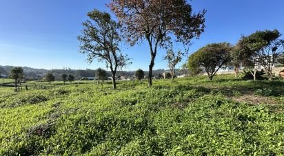 Ferme T0 à Vila Cova E Feitos de 210 m²
