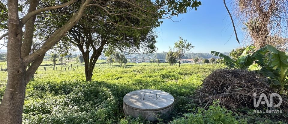 Farm T0 in Vila Cova E Feitos of 210 m²