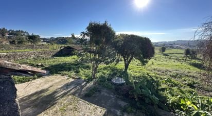 Ferme T0 à Vila Cova E Feitos de 210 m²