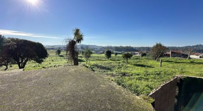 Ferme T0 à Vila Cova E Feitos de 210 m²