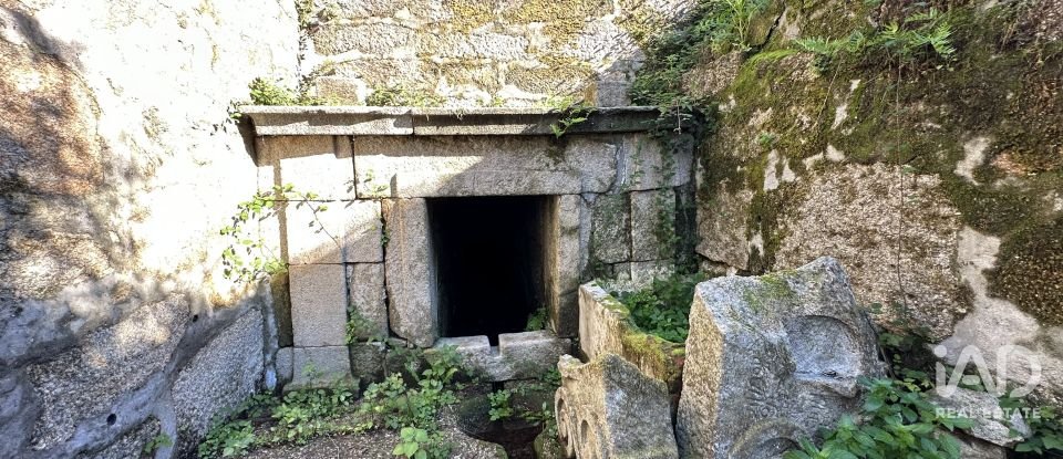 Farm T0 in Vila Cova E Feitos of 210 m²