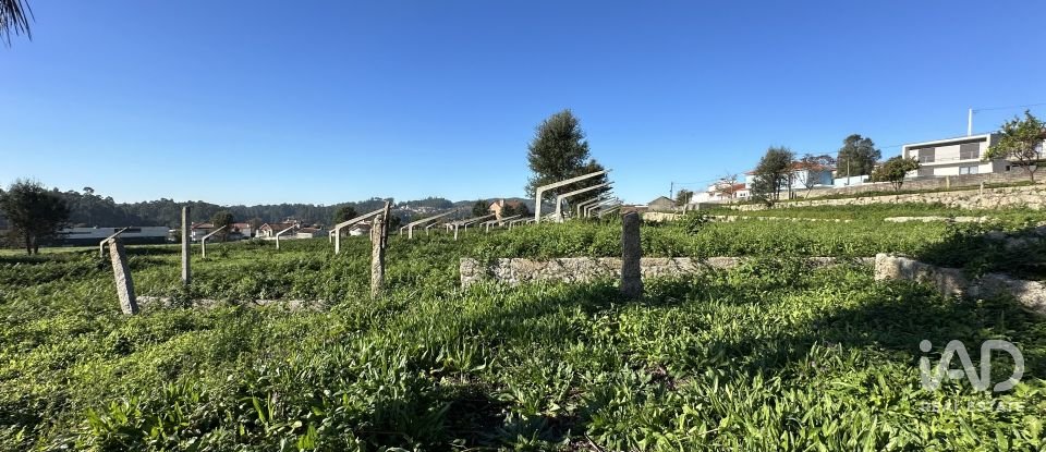 Farm T0 in Vila Cova E Feitos of 210 m²