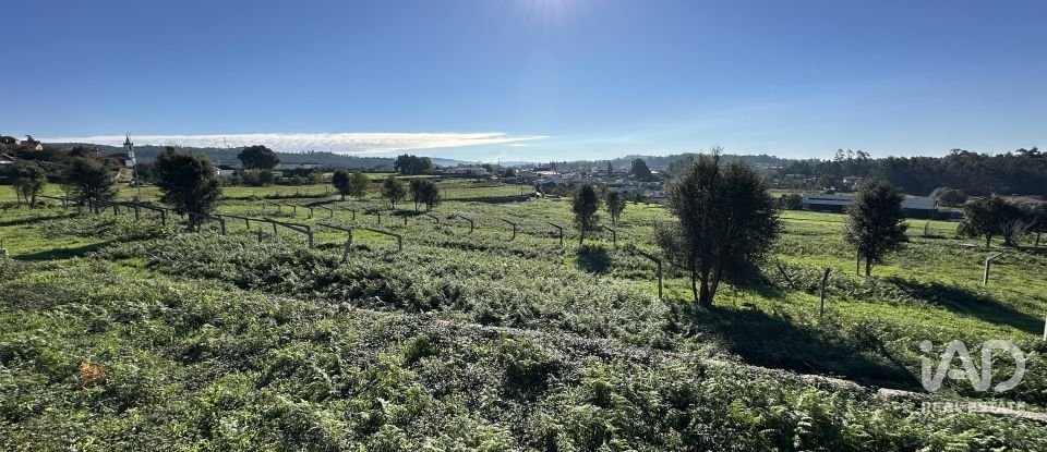 Farm T0 in Vila Cova E Feitos of 210 m²