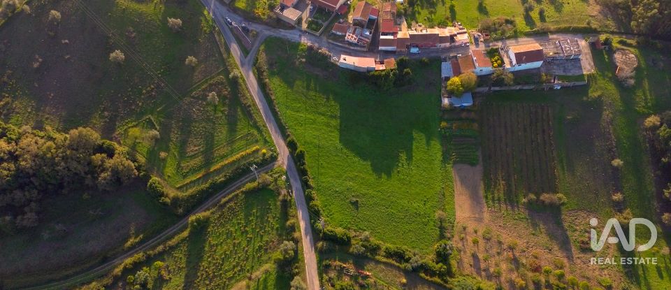 Terreno em Abrunheira, Verride e Vila Nova da Barca de 5 700 m²