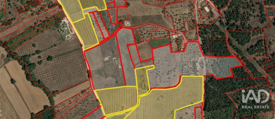 Terrain à Águas Belas de 79 880 m²