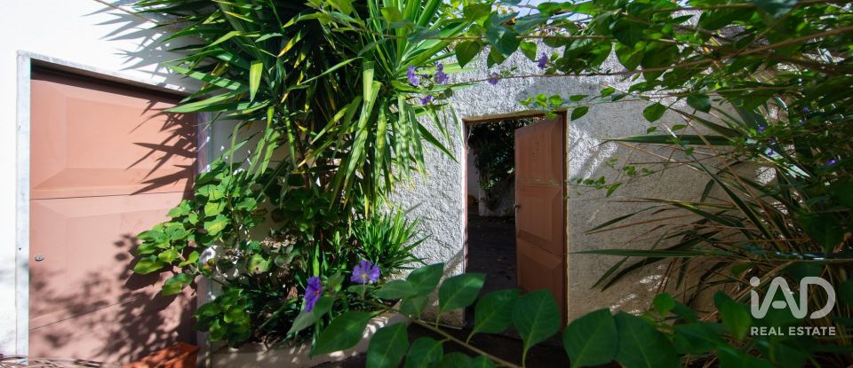 Maison T3 à Semide e Rio Vide de 236 m²