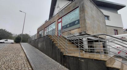 Boutique/Local commercial à Castro Laboreiro e Lamas de Mouro de 252 m²