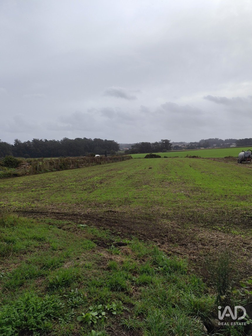 Terreno misto em Cristelo de 6 200 m²
