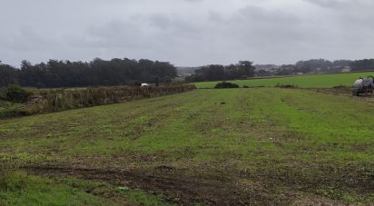 Terrain mixte à Cristelo de 6 200 m²