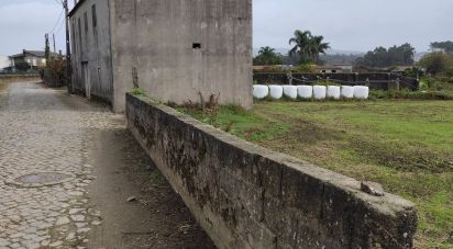 Terrain mixte à Cristelo de 6 200 m²