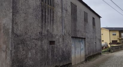 Terrain mixte à Cristelo de 6 200 m²