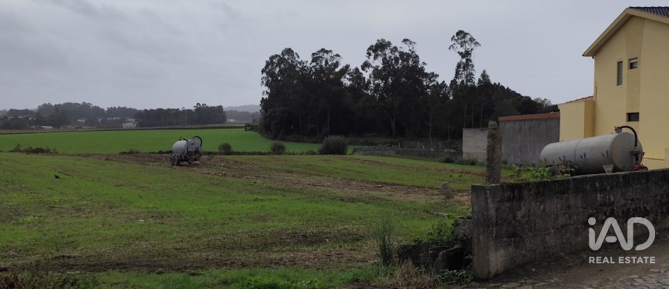 Terreno misto em Cristelo de 6 200 m²