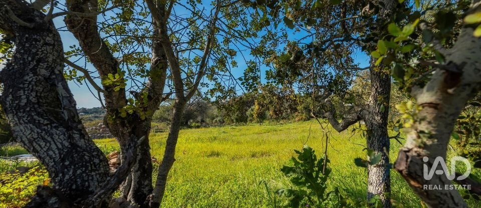 Terreno em Loulé (São Clemente) de 2 182 m²