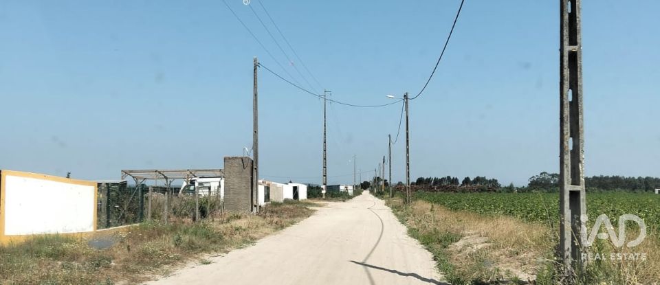 Land in Benfica do Ribatejo of 6,720 m²