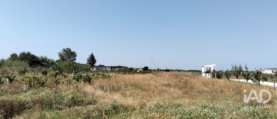 Land in Benfica do Ribatejo of 6,720 m²