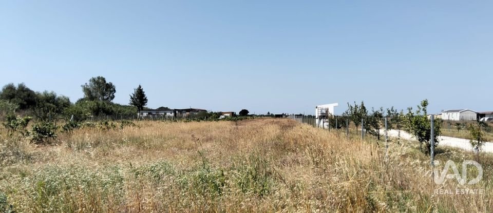 Land in Benfica do Ribatejo of 6,720 m²