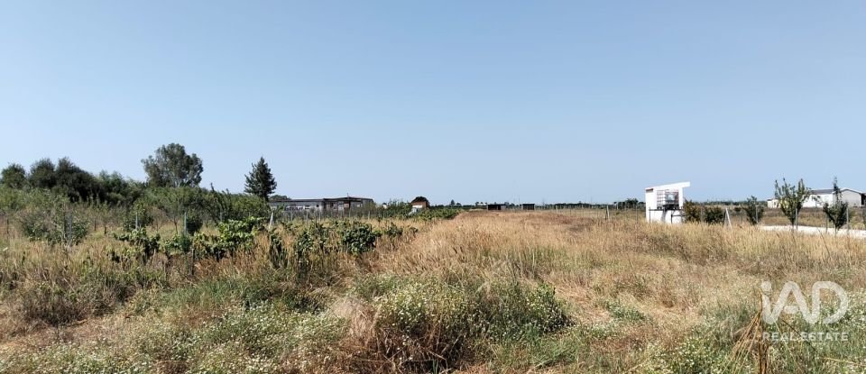 Land in Benfica do Ribatejo of 6,720 m²