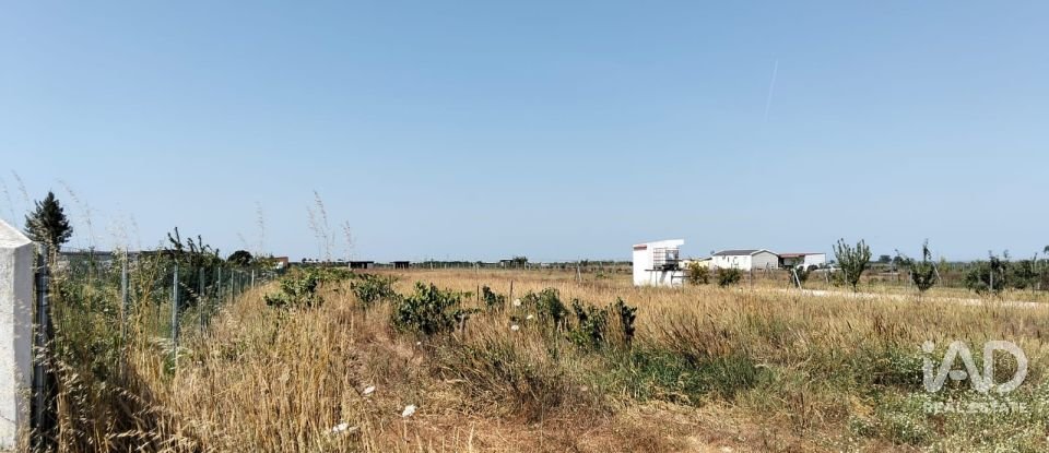 Land in Benfica do Ribatejo of 6,720 m²