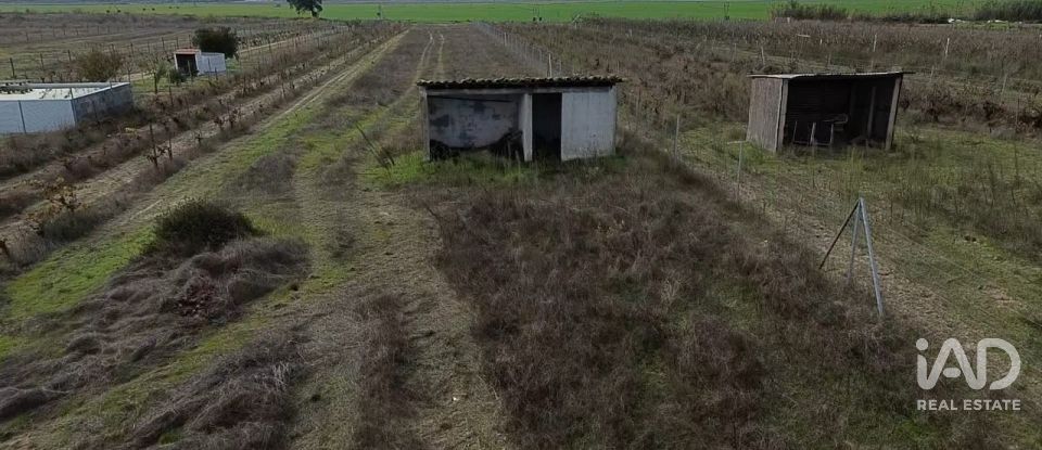 Land in Benfica do Ribatejo of 6,720 m²
