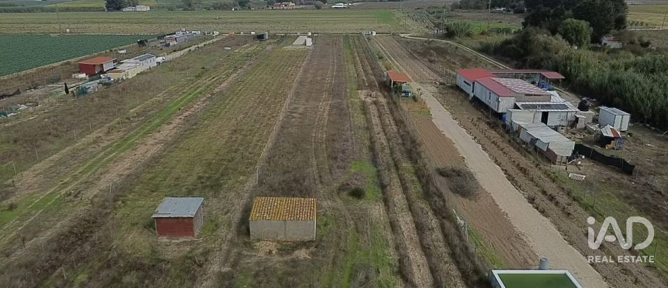 Land in Benfica do Ribatejo of 6,720 m²