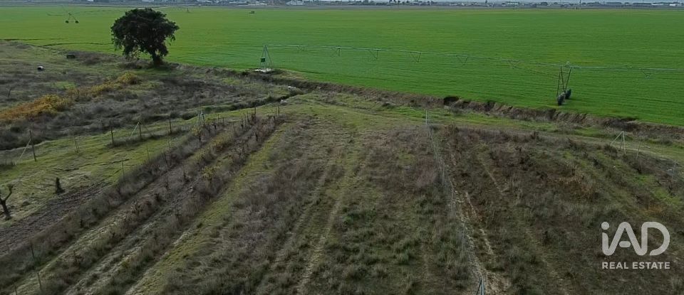 Land in Benfica do Ribatejo of 6,720 m²