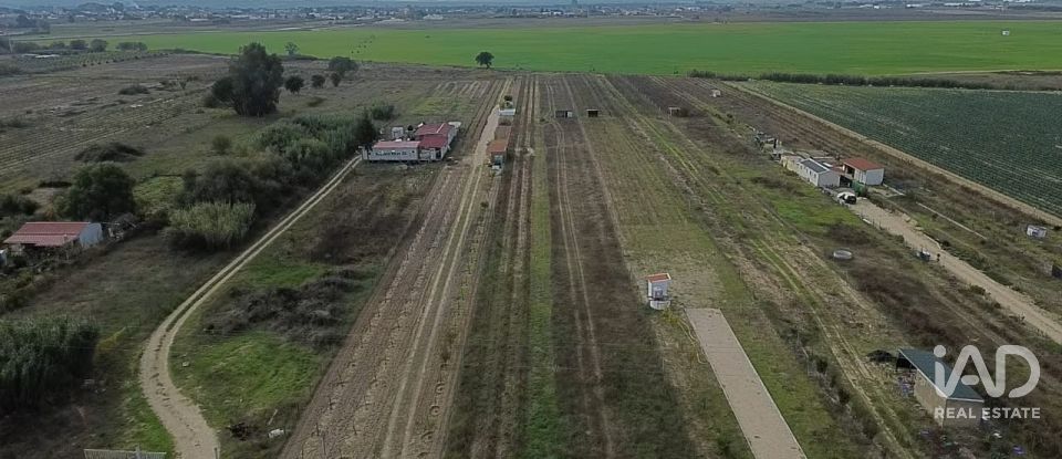 Land in Benfica do Ribatejo of 6,720 m²