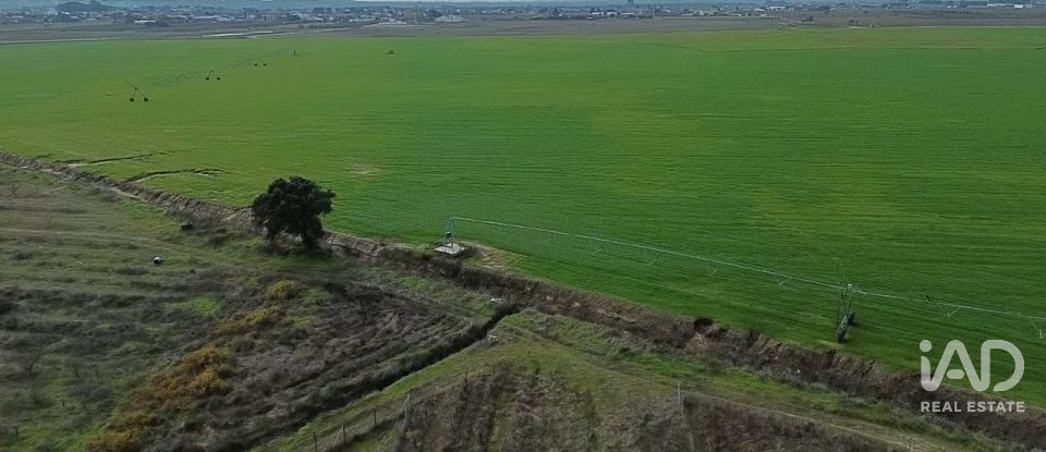 Land in Benfica do Ribatejo of 6,720 m²