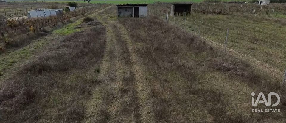Land in Benfica do Ribatejo of 6,720 m²